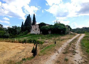 IMG_20220629_162913.jpg - Rustico Todi - foto 2