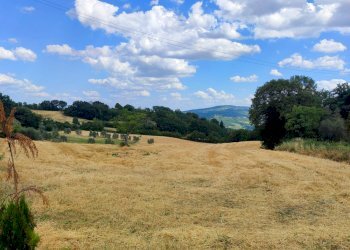 IMG_20220629_162926c.jpg - Rustico Todi - foto 4