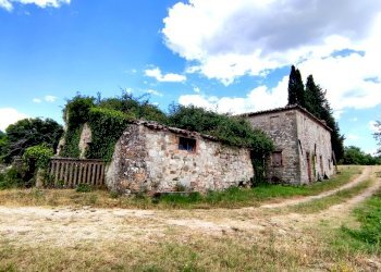 IMG_20220629_163111.jpg - Rustico Todi - foto 5