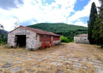 IMG_20220629_163415.jpg - Rustico Todi - foto 8