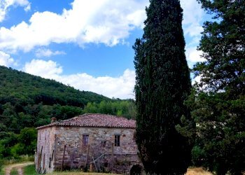 IMG_20220629_163431.jpg - Rustico Todi - foto 9