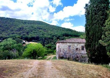 IMG_20220629_163444.jpg - Rustico Todi - foto 10