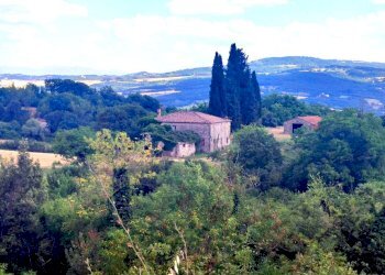 IMG_20220629_164852.jpg - Rustico Todi - foto 11