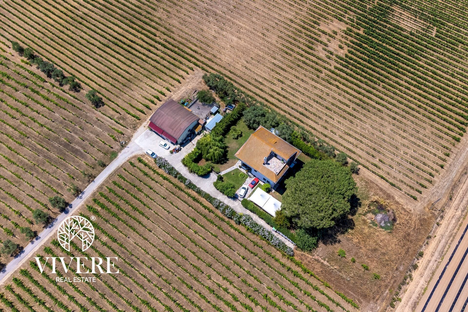 Terreno agricolo strada foglino, Latina - foto 1
