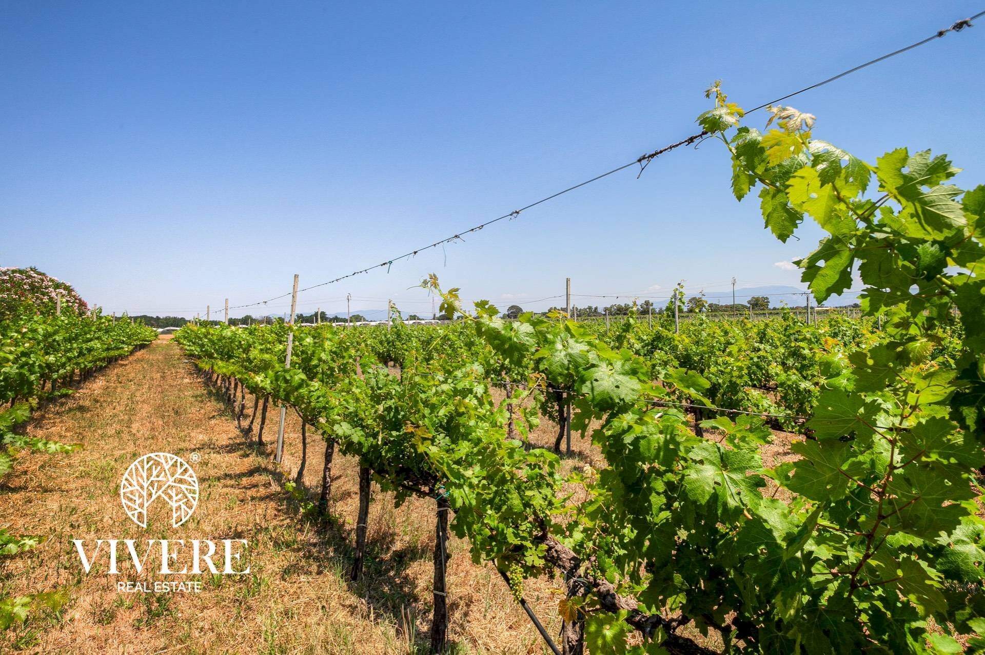 Terreno agricolo strada foglino, Latina - foto 2