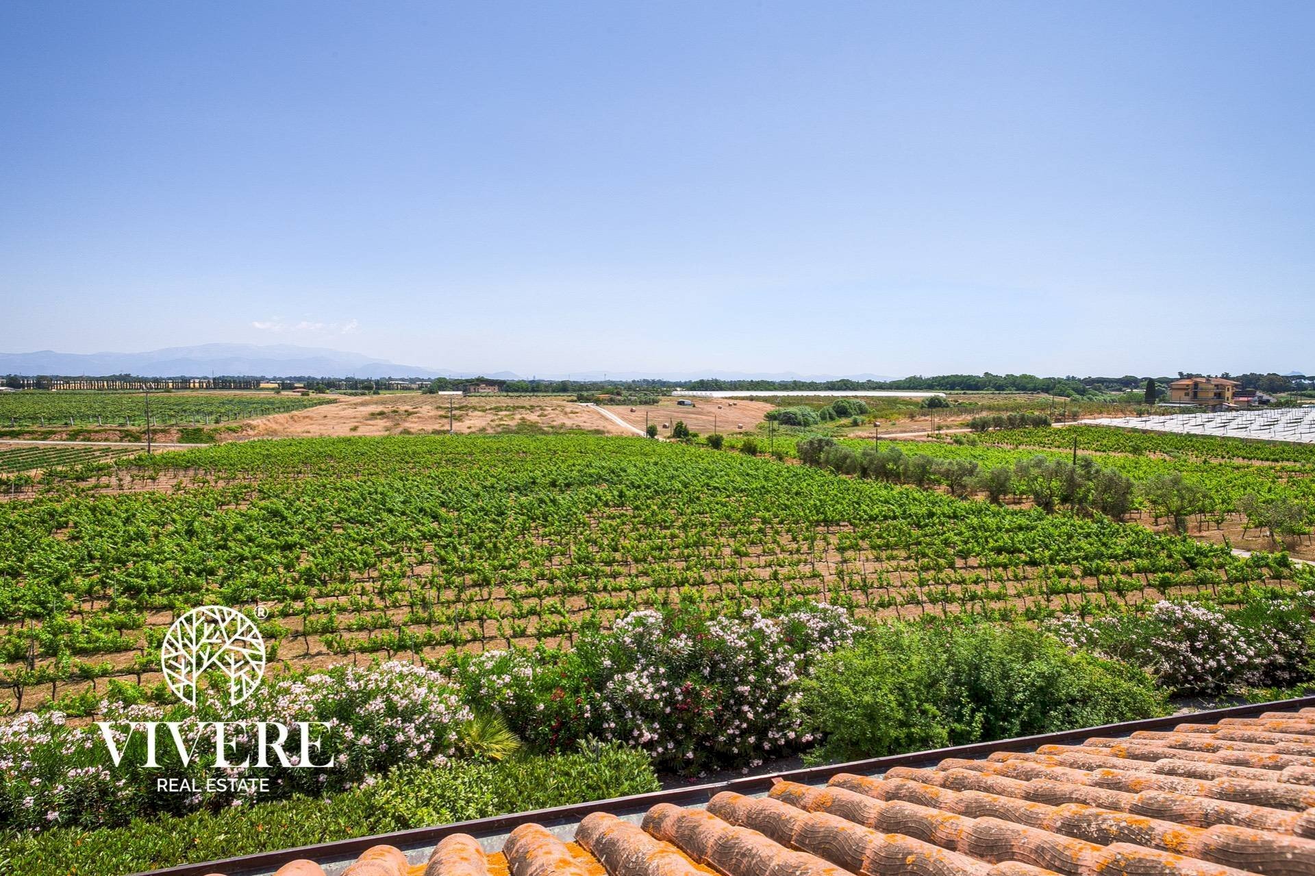 Terreno agricolo strada foglino, Latina - foto 3