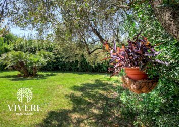 Terreno agricolo strada foglino, Latina - foto 6