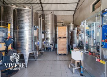 Terreno agricolo strada foglino, Latina - foto 24