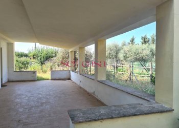 Quadrilocale Castiglione della Pescaia - foto 2