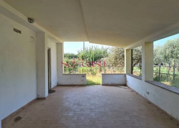 Quadrilocale Castiglione della Pescaia - foto 3