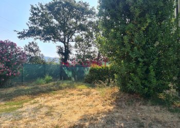 Quadrilocale Castiglione della Pescaia - foto 12