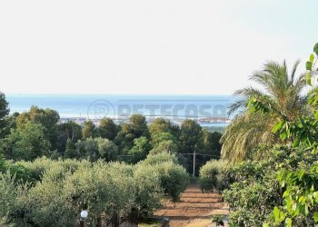 20220721_185917.jpg - Building land Pescara - photo 1