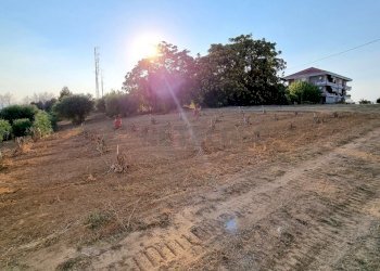 20220721_185415.jpg - Building land Pescara - photo 3