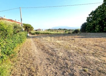 20220721_185506.jpg - Building land Pescara - photo 6