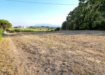 20220721_185511.jpg - Building land Pescara - photo 8