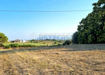 20220721_185523.jpg - Building land Pescara - photo 10