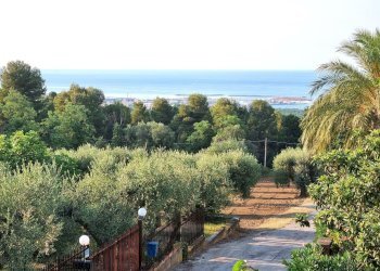 20220721_185926.jpg - Building land Pescara - photo 16