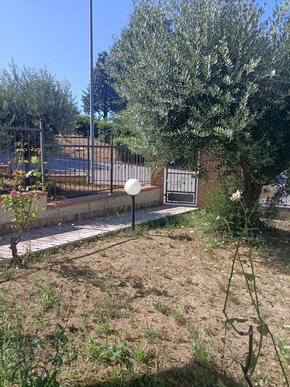 giardino - Villa a Schiera San Benedetto del Tronto - foto 1