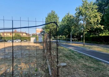 20220715_184631.jpg - Terreno edificabile Castelnuovo Rangone - foto 3