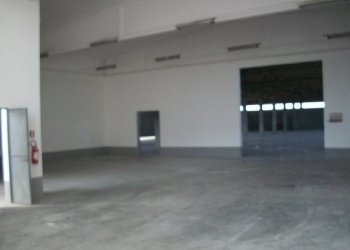 Capannone Piacenza - foto 2