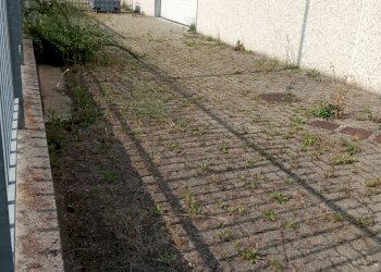 Capannone Podenzano - foto 8