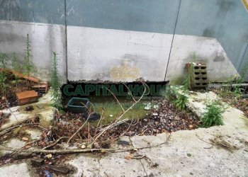 Laboratorio Argelato - foto 25