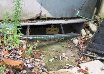 Laboratorio Argelato - foto 28