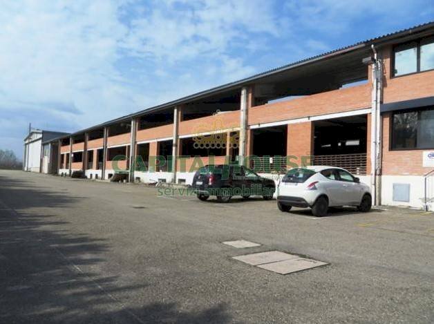 Magazzino Budrio - foto 3