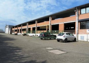 Magazzino Budrio - foto 3