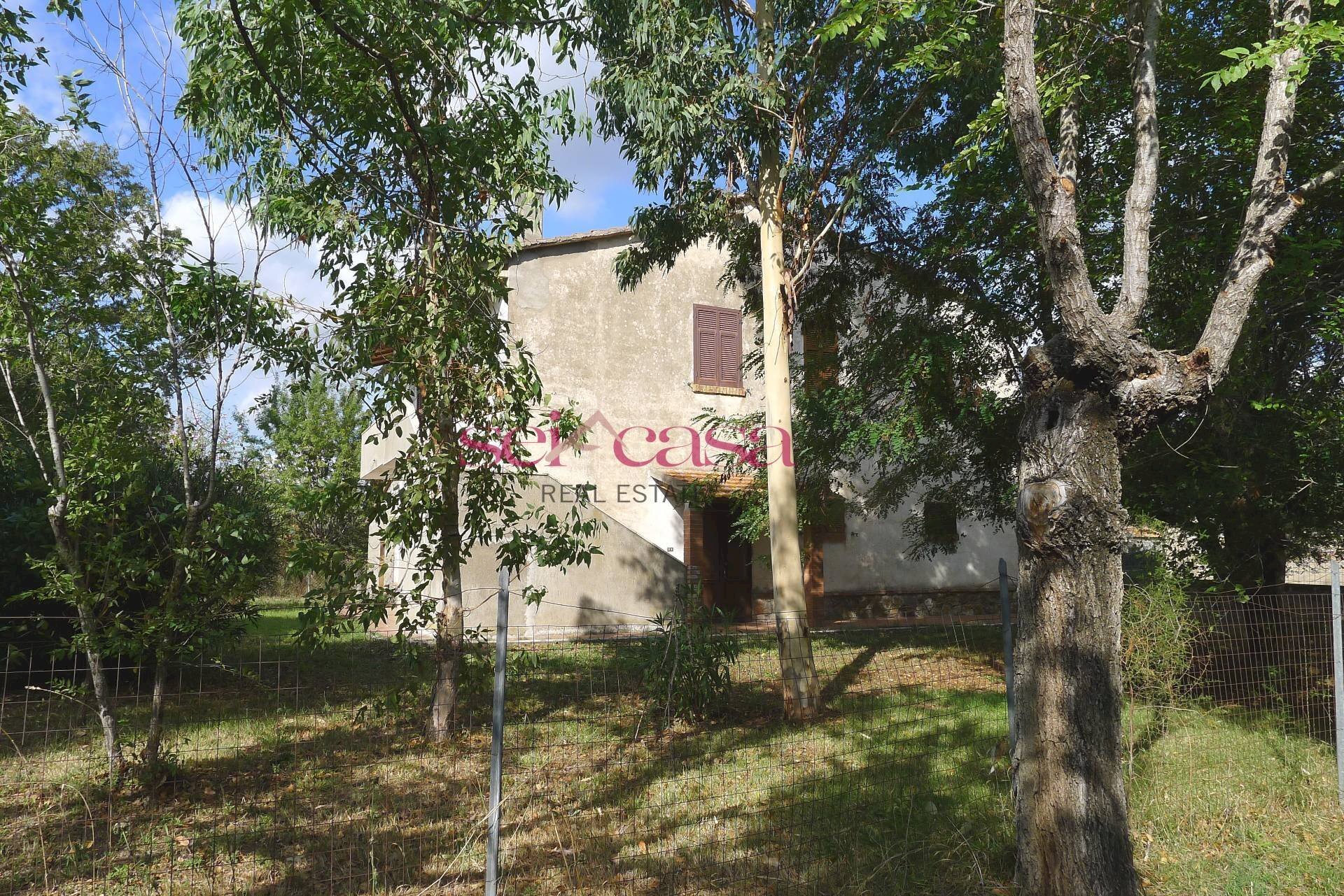 Rustico Scansano - foto 3