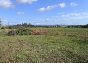 Rustico Scansano - foto 4