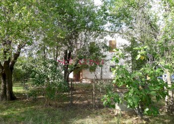 Rustico Scansano - foto 15