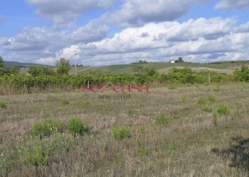 Rustico Scansano - foto 17