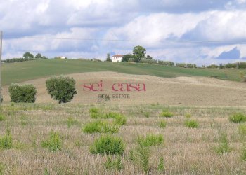 Rustico Scansano - foto 19