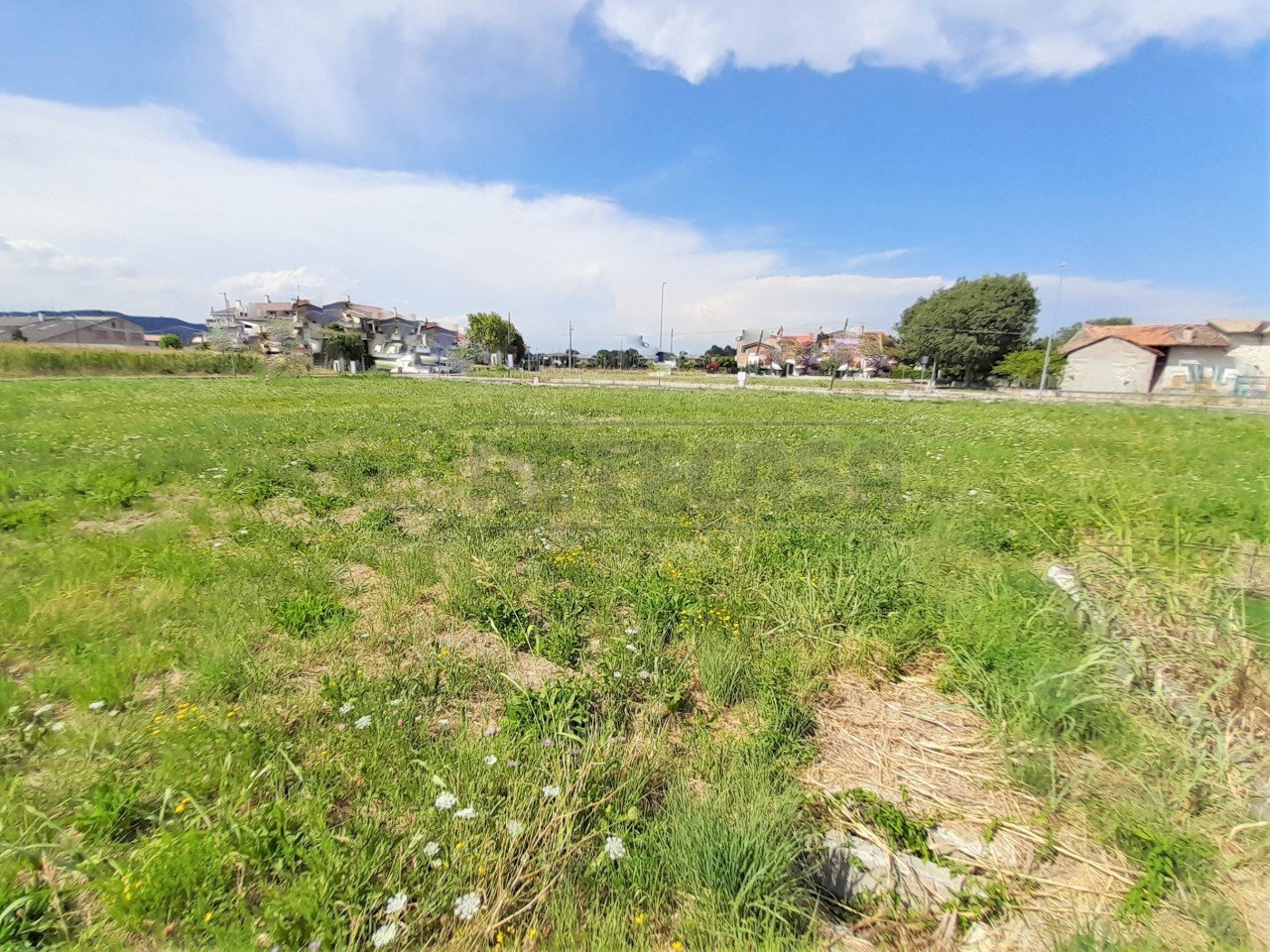 20220726_160746.jpg - Terreno edificabile Castegnero - foto 2