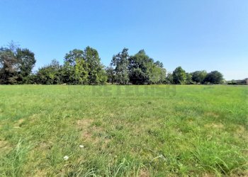 20220726_161216.jpg - Terreno edificabile Castegnero - foto 4