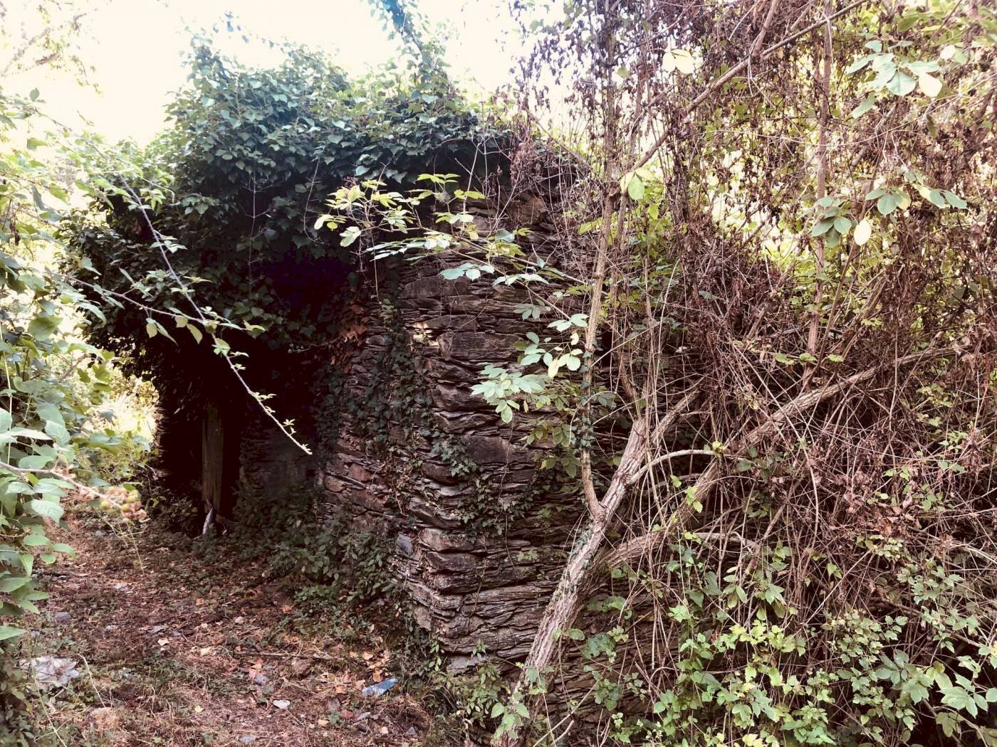 1 - Rustic via Fiume, Bargagli - photo 2