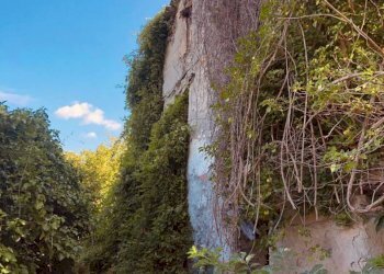 1 - Rustico via Fiume, Bargagli - foto 3