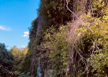 1 - Rustico via Fiume, Bargagli - foto 4