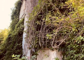 1 - Rustico via Fiume, Bargagli - foto 5