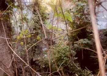 1 - Rustico via Fiume, Bargagli - foto 6