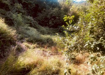 1 - Rustico via Fiume, Bargagli - foto 7