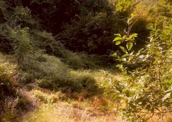 1 - Rustico via Fiume, Bargagli - foto 9