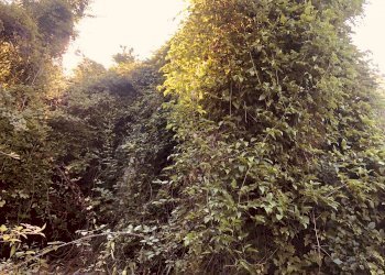 1 - Rustico via Fiume, Bargagli - foto 17