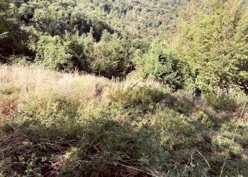 1 - Rustico via Fiume, Bargagli - foto 19