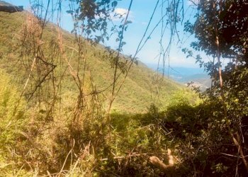 1 - Rustico via Fiume, Bargagli - foto 20