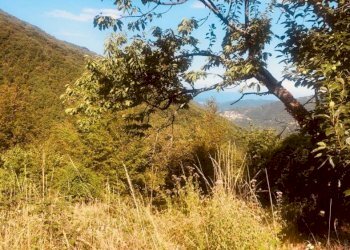 1 - Rustico via Fiume, Bargagli - foto 21