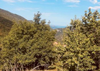 1 - Rustico via Fiume, Bargagli - foto 26