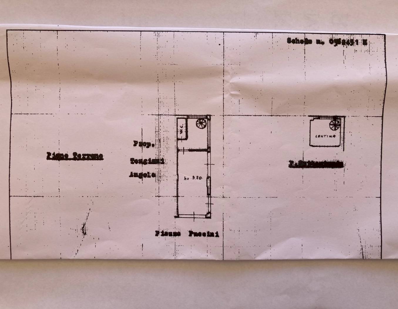 Negozio viale Eugenio Chiesa, Massa - foto 1