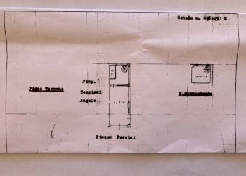 Negozio viale Eugenio Chiesa, Massa - foto 1